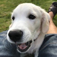 Olaf